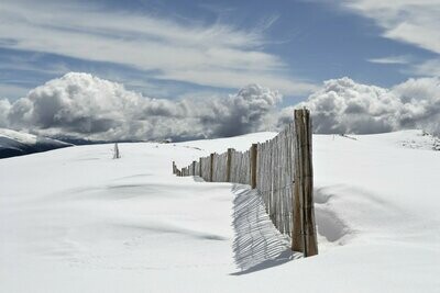 Cercos - Fence