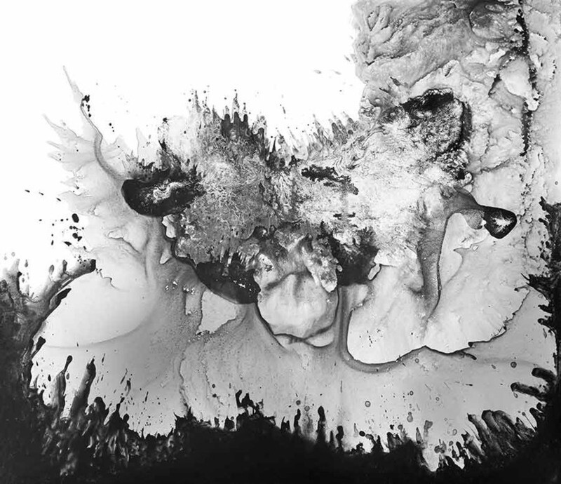 Abstract Artist print- 'Beast ii': large hand-finished limited edition/100 on canvas