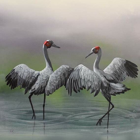 Bird paintings - &#39;Dance of the Brolgas&#39; - Commission a bird painting