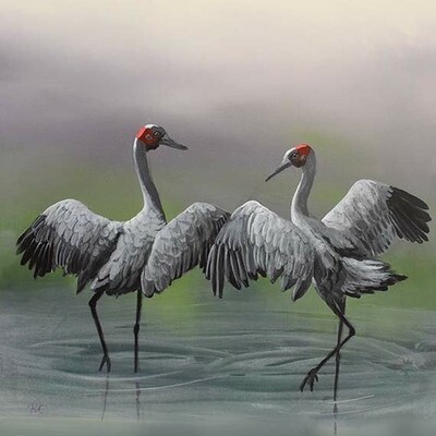 Bird paintings - 'Dance of the Brolgas' - Commission a bird painting