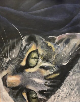 Cat Portraits
