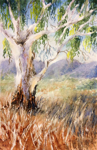 Watercolour Gum Tree painting project