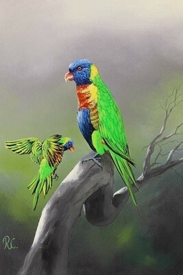 Bird paintings Lorikeet