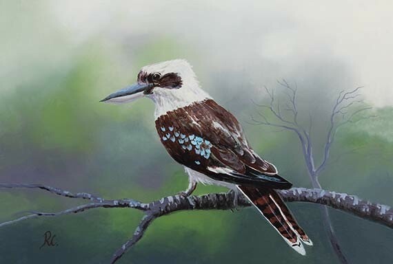 Australian Birds- &#39;Kookaburra&#39; - acrylic on wood panel, framed