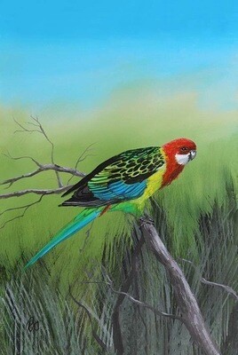 Eastern Rosella painting