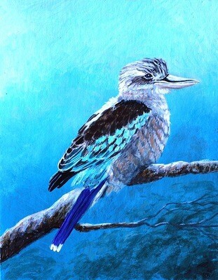 Native Bird Paintings