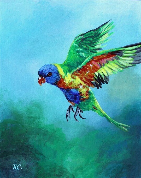 Rainbow lorikeet painting