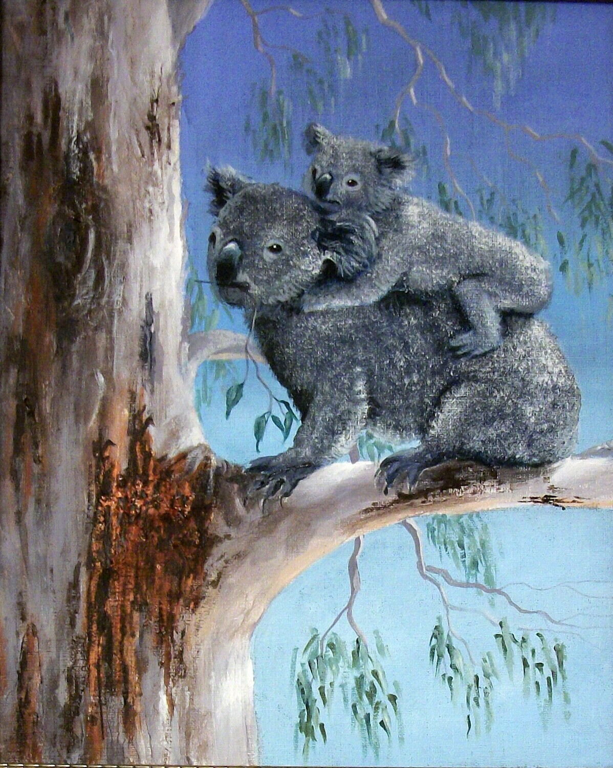 Koalas