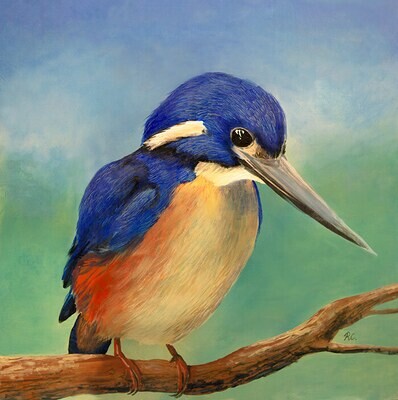 Painting of Azure Kingfisher