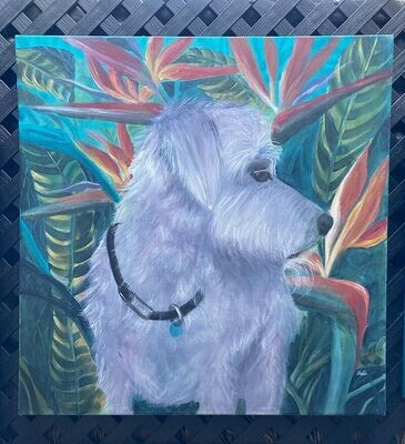 Pet Portrait Pricing