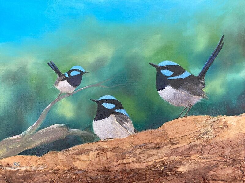 Superb Blue Wren painting