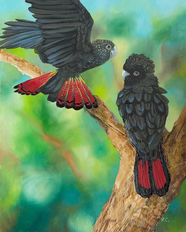 GLOSSY BLACK COCKATOO painting