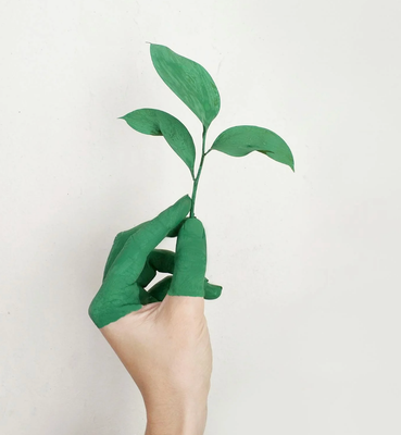 What is &quot;Sustainable Art&quot;