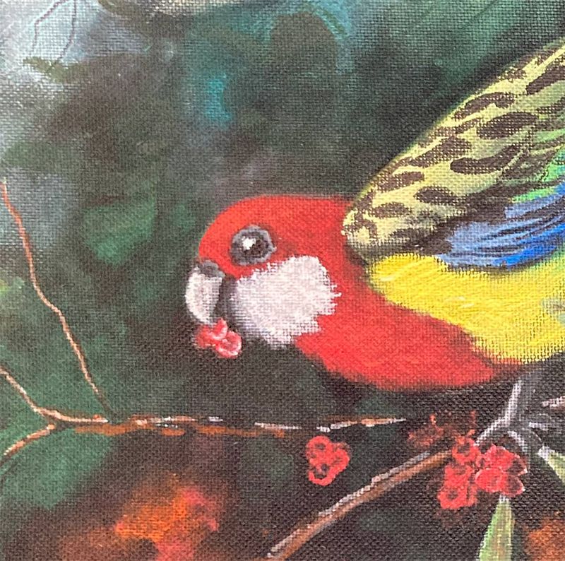 Original OUTDOOR bird painting - 'Eastern Rosella Feeding '