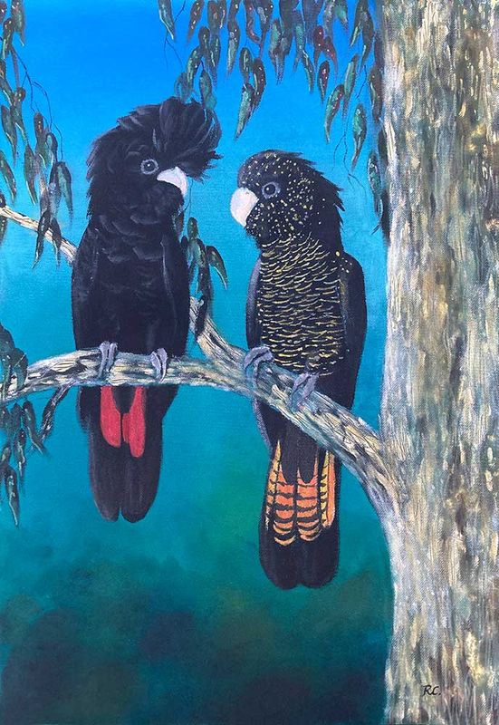black cockatoo paintings
