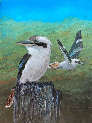 Paintings of Kookaburras