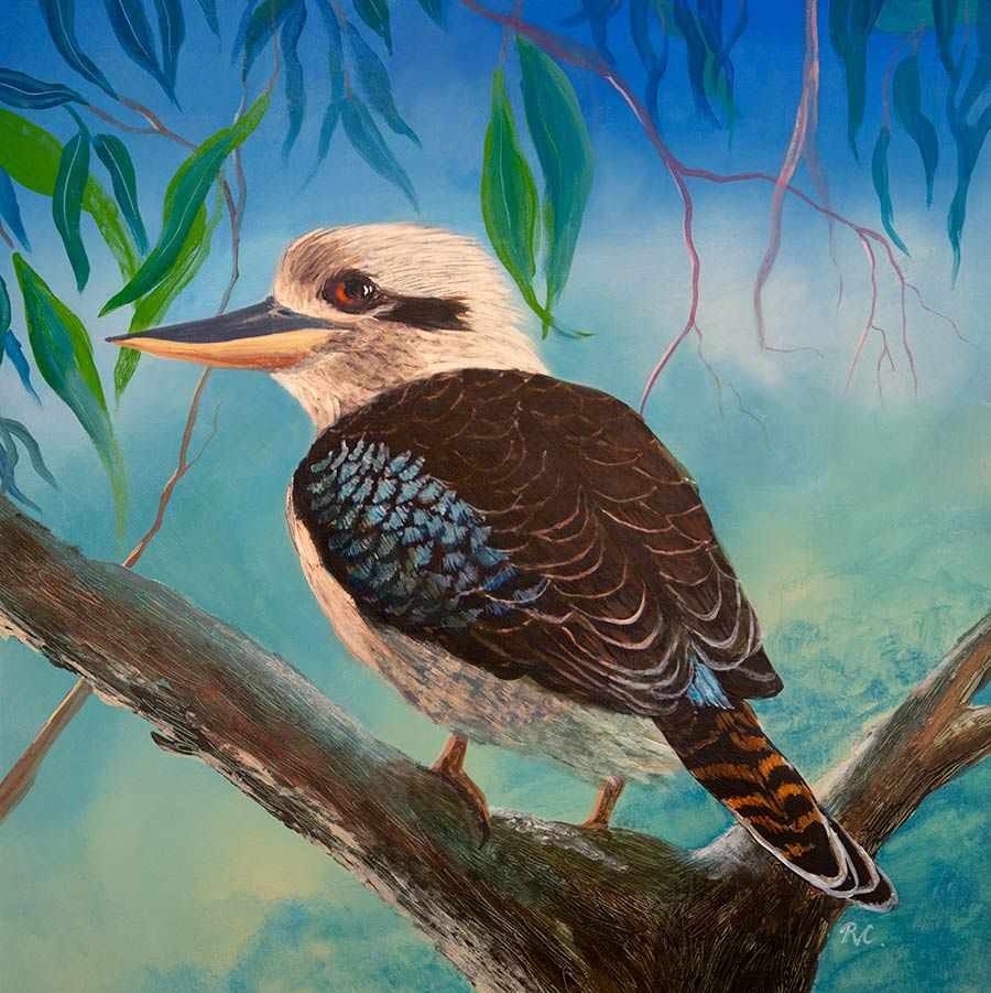 Kookaburra (Not Laughing)  - beautifully hand-finished canvas reproduction artwork