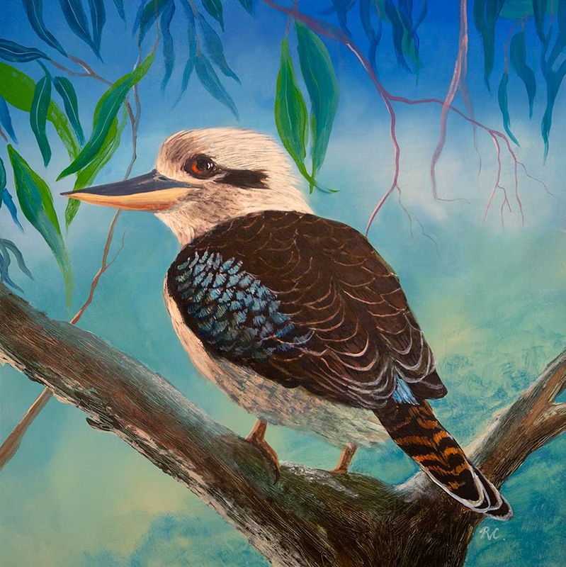 Kookaburra (Not Laughing)  - beautifully hand-finished canvas reproduction artwork