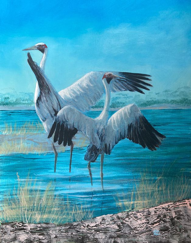 Brolgas dancing in the Wetlands - hand-finished canvas reproduction artwork