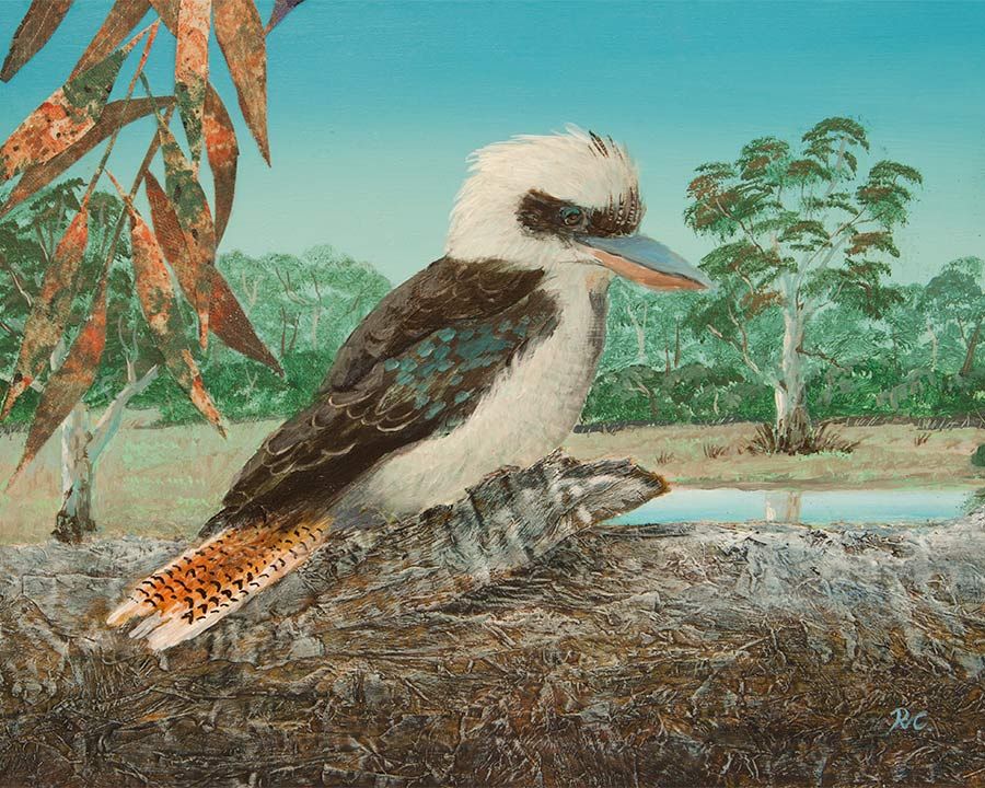 Kookaburra  - beautifully hand-finished canvas reproduction artwork