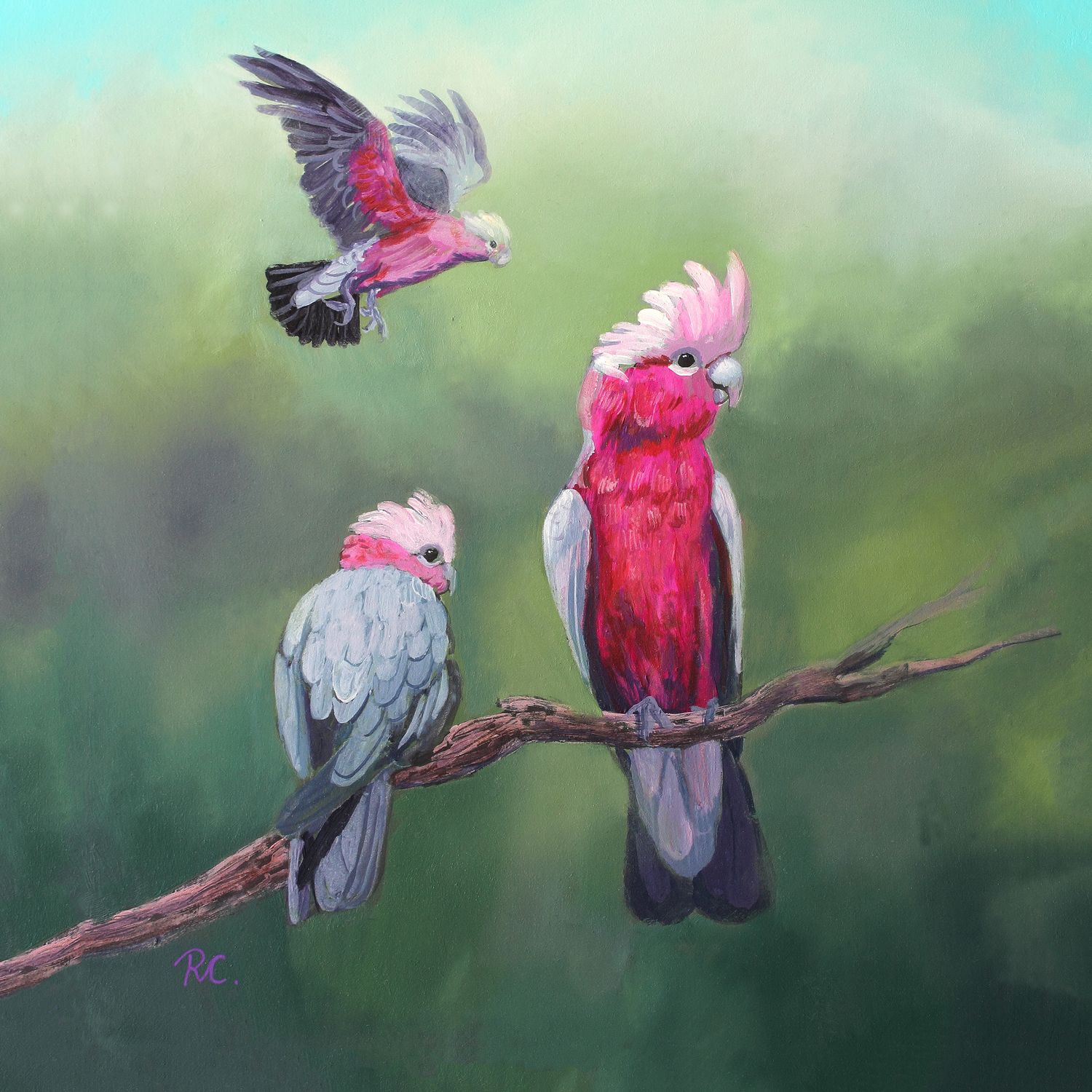 3 Galahs  - beautifully hand-finished canvas reproduction artwork