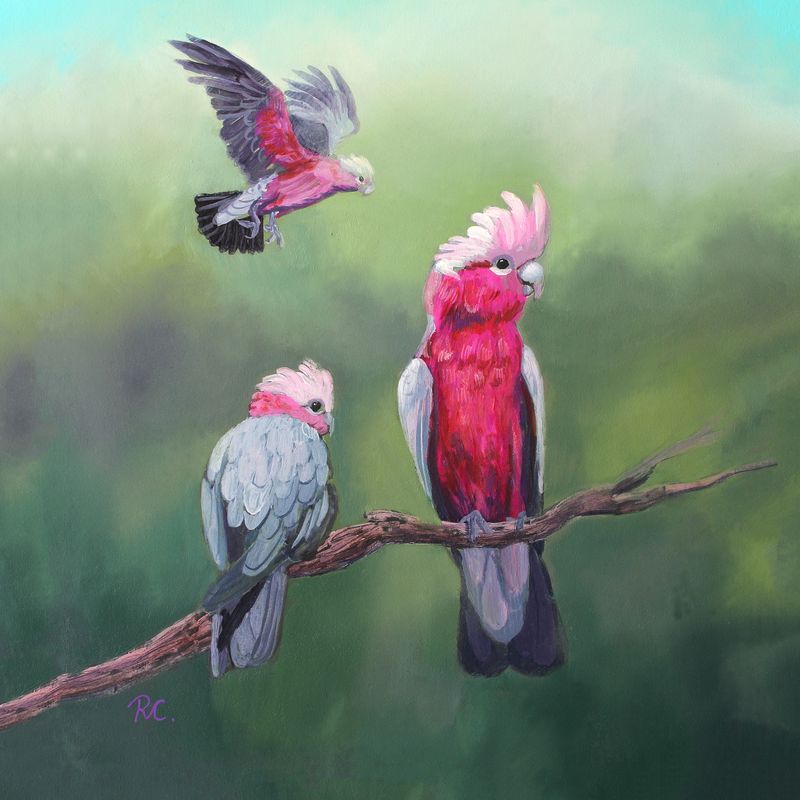 3 Galahs  - beautifully hand-finished canvas reproduction artwork