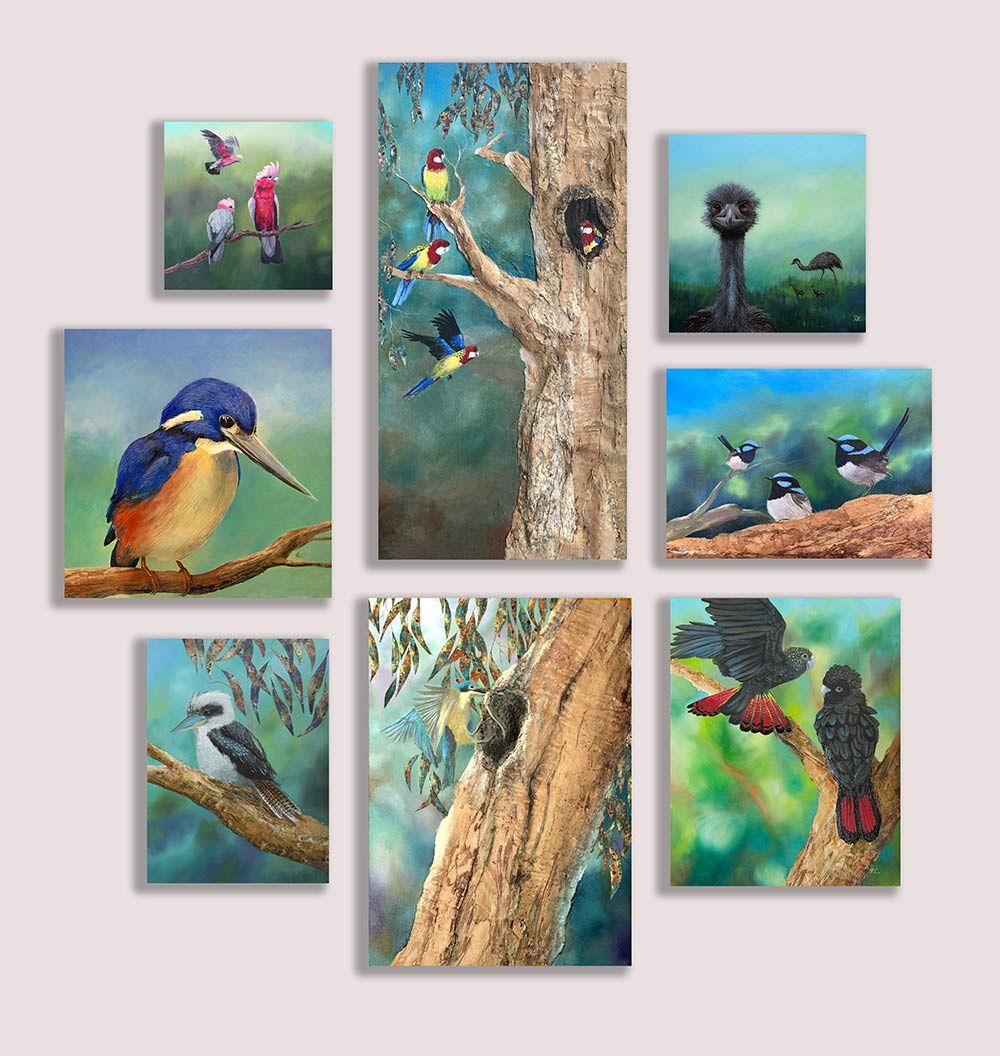 Salon Hang Suite of 8  Custom artworks of Australian Bird Paintings from Robert Corcoran