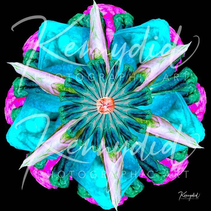 L'Fleur d'Femme 102b