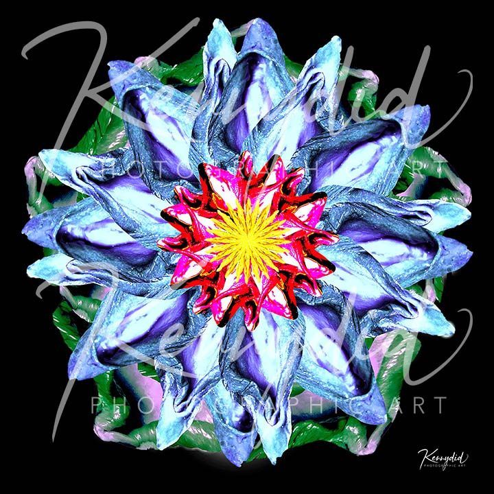 L'Fleur d'Femme 101b