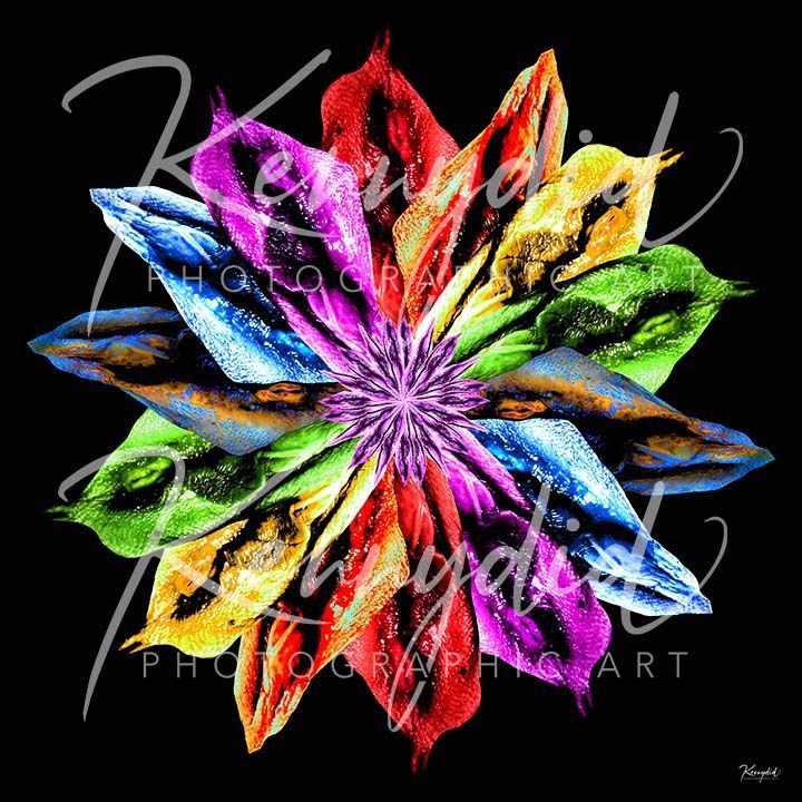 L'Fleur d'Pride