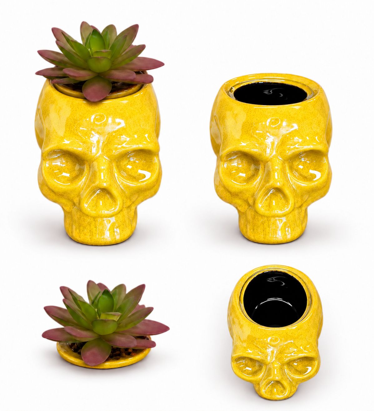 Skull Stash Box (Yellow)