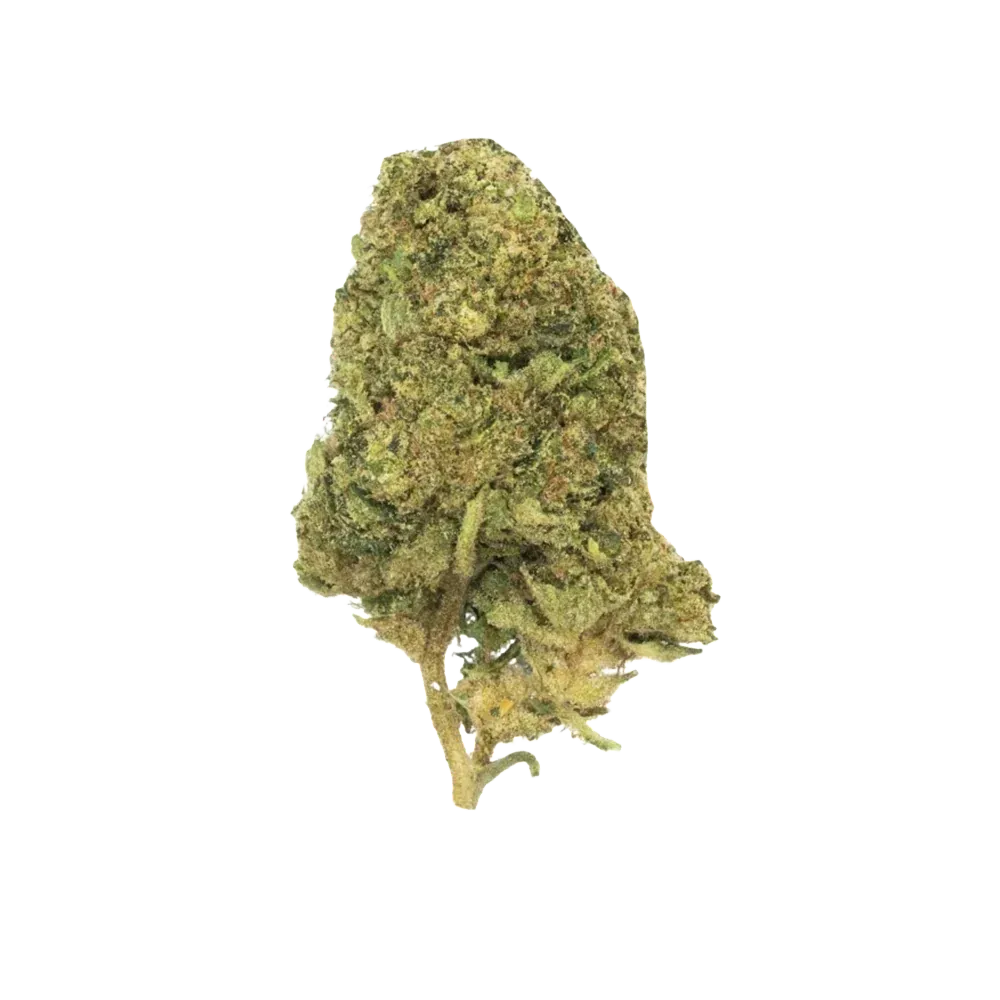 THCA FLOWER - AAA Key Lime Jack 1.5g