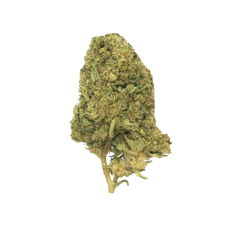 THCA FLOWER - AAA Key Lime Jack 3.5g