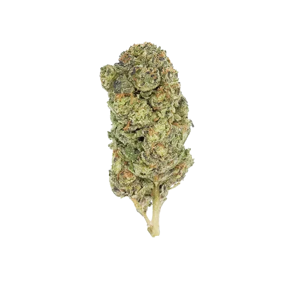 THCA FLOWER - AAA Maui Wowie 3.5g