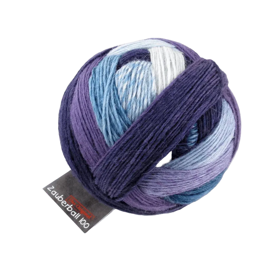 Zauberball 100 Pro, Color: 1699