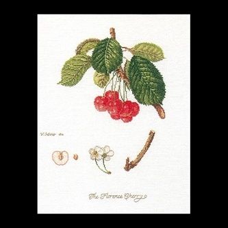 Cross Stitch Kit, Title: Cherries