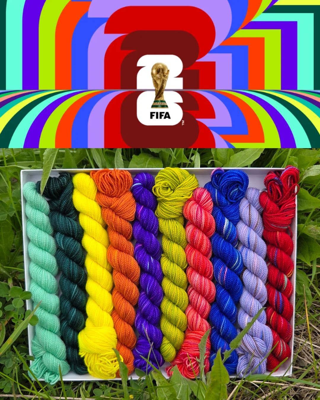 FIFA World Cup Pencil Box (mini skein palette)