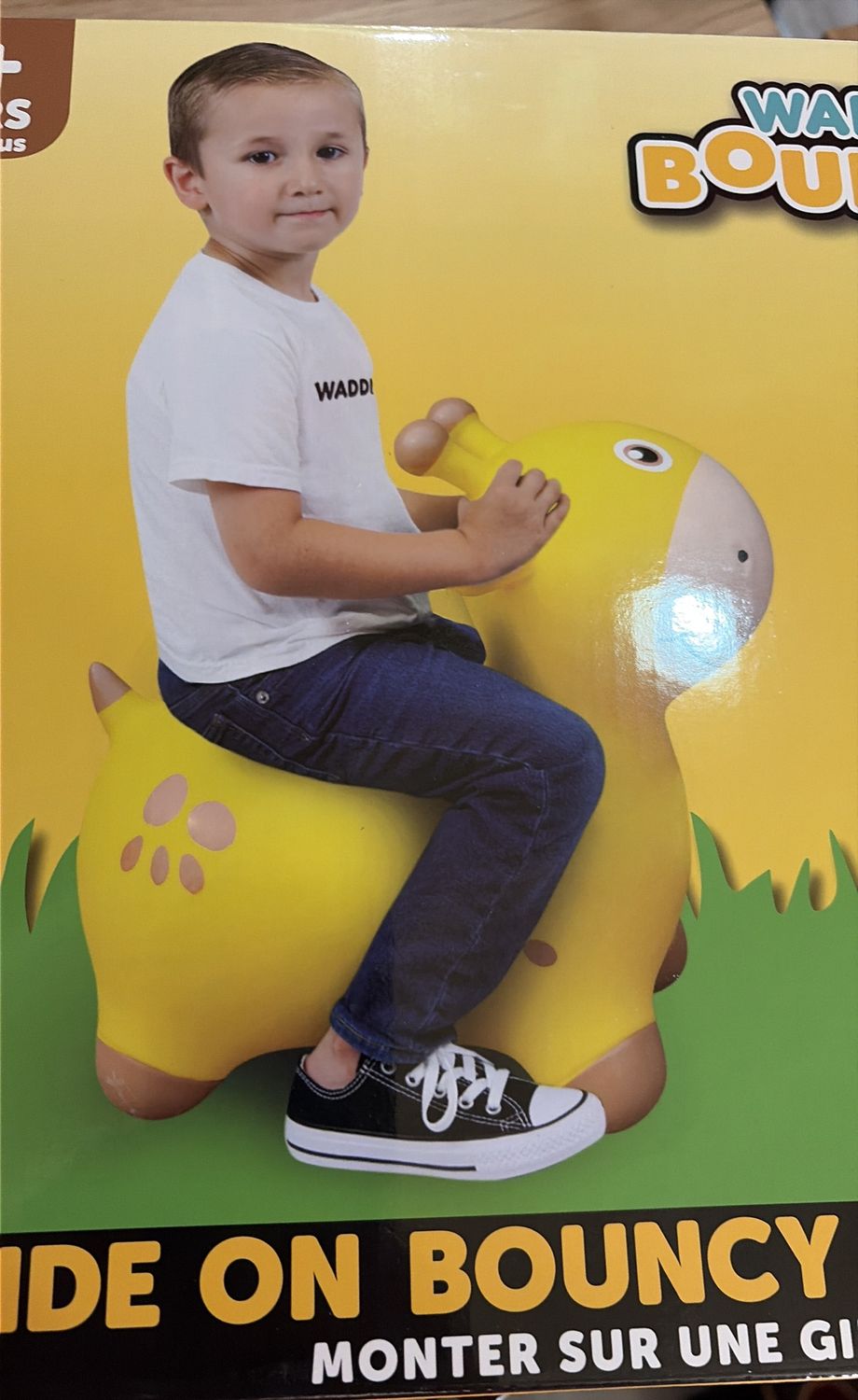 Waddle bouncer giraffe