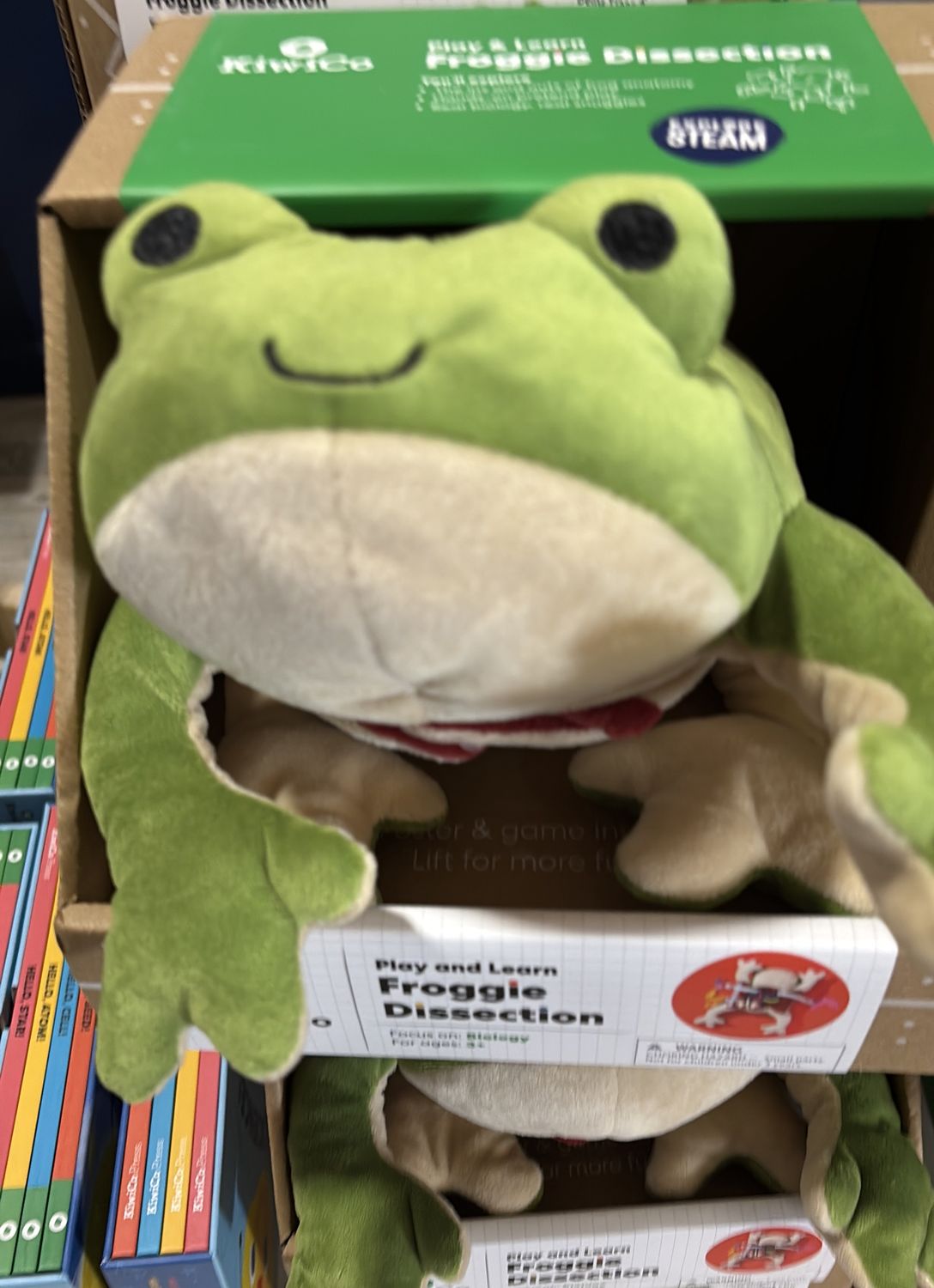 Kiwico froggie dissection kit