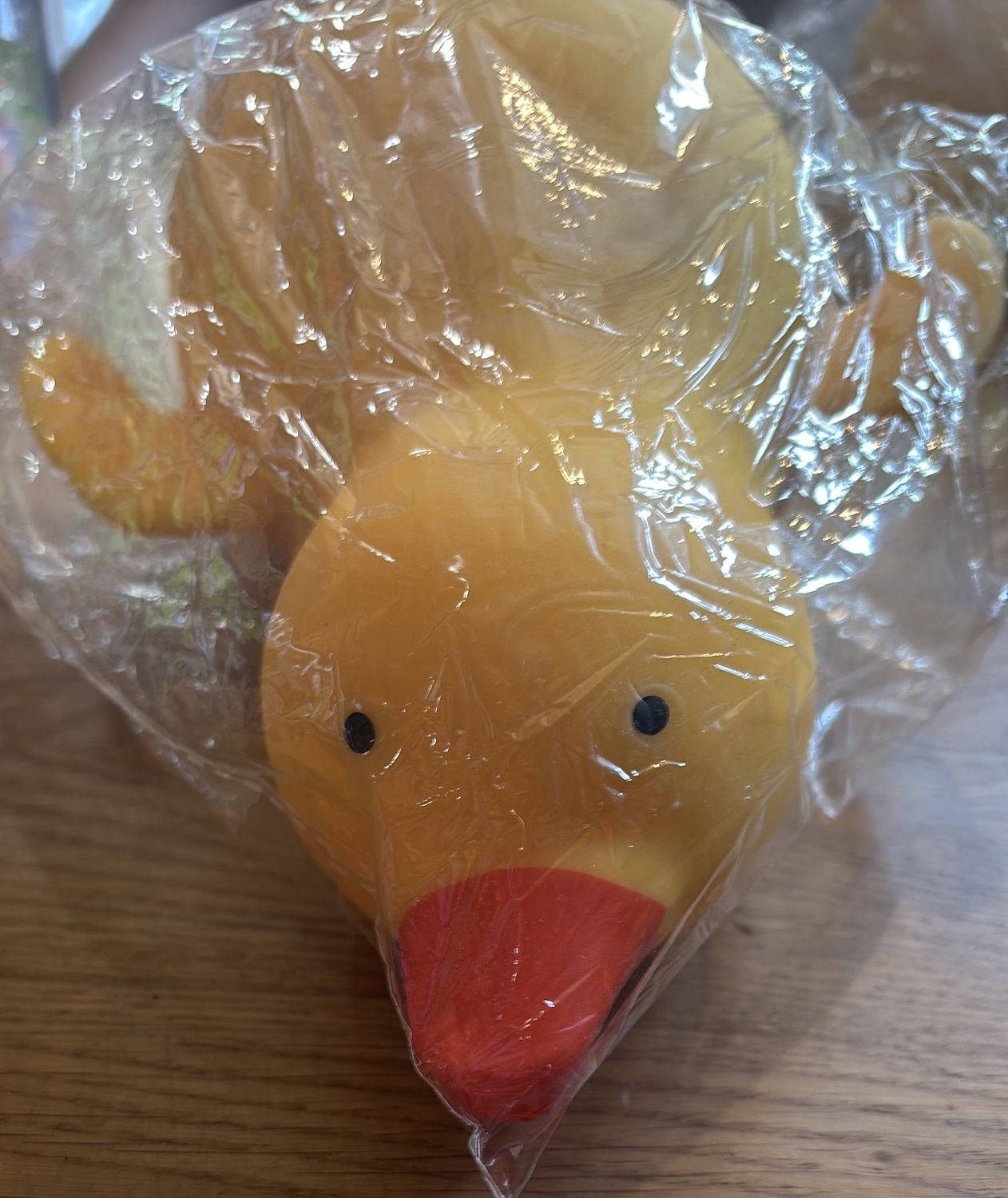 Jumbo squish duck 