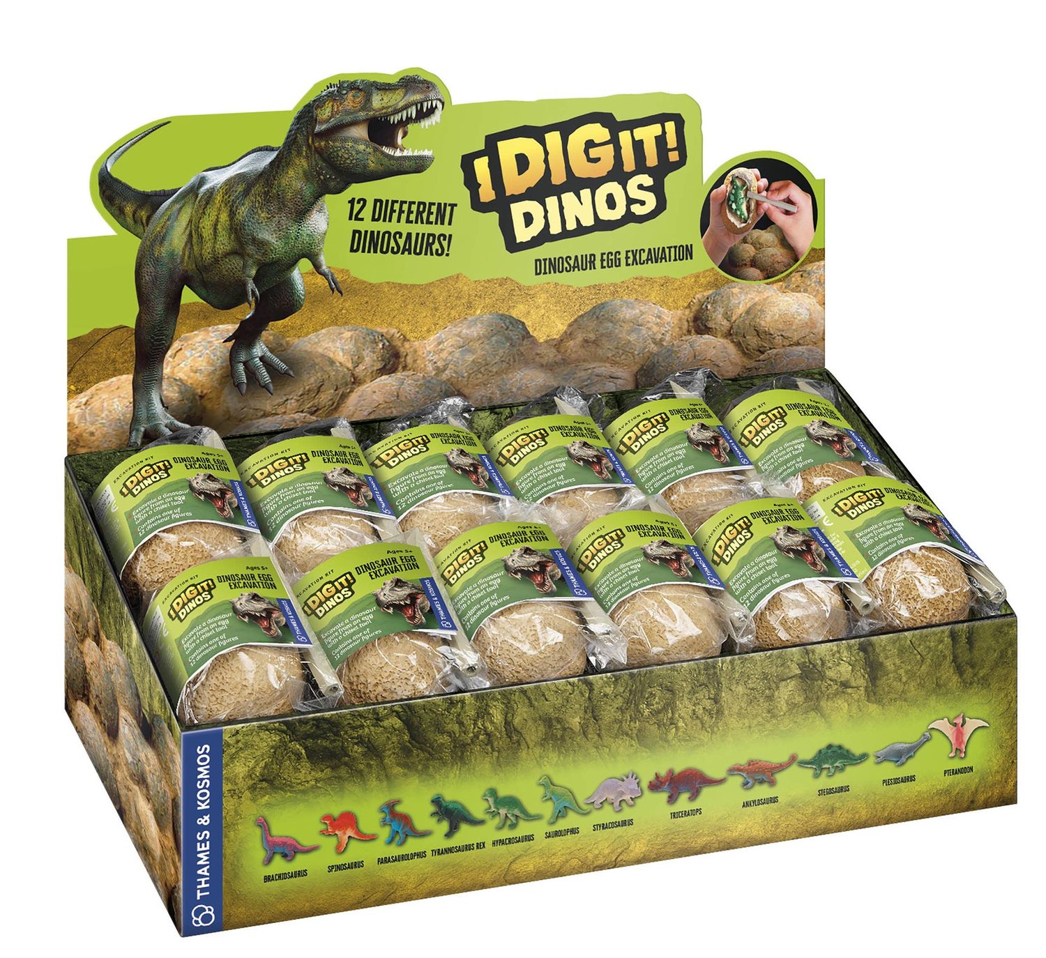 I Dig It! Dinos - Dino Egg 24-Unit Display