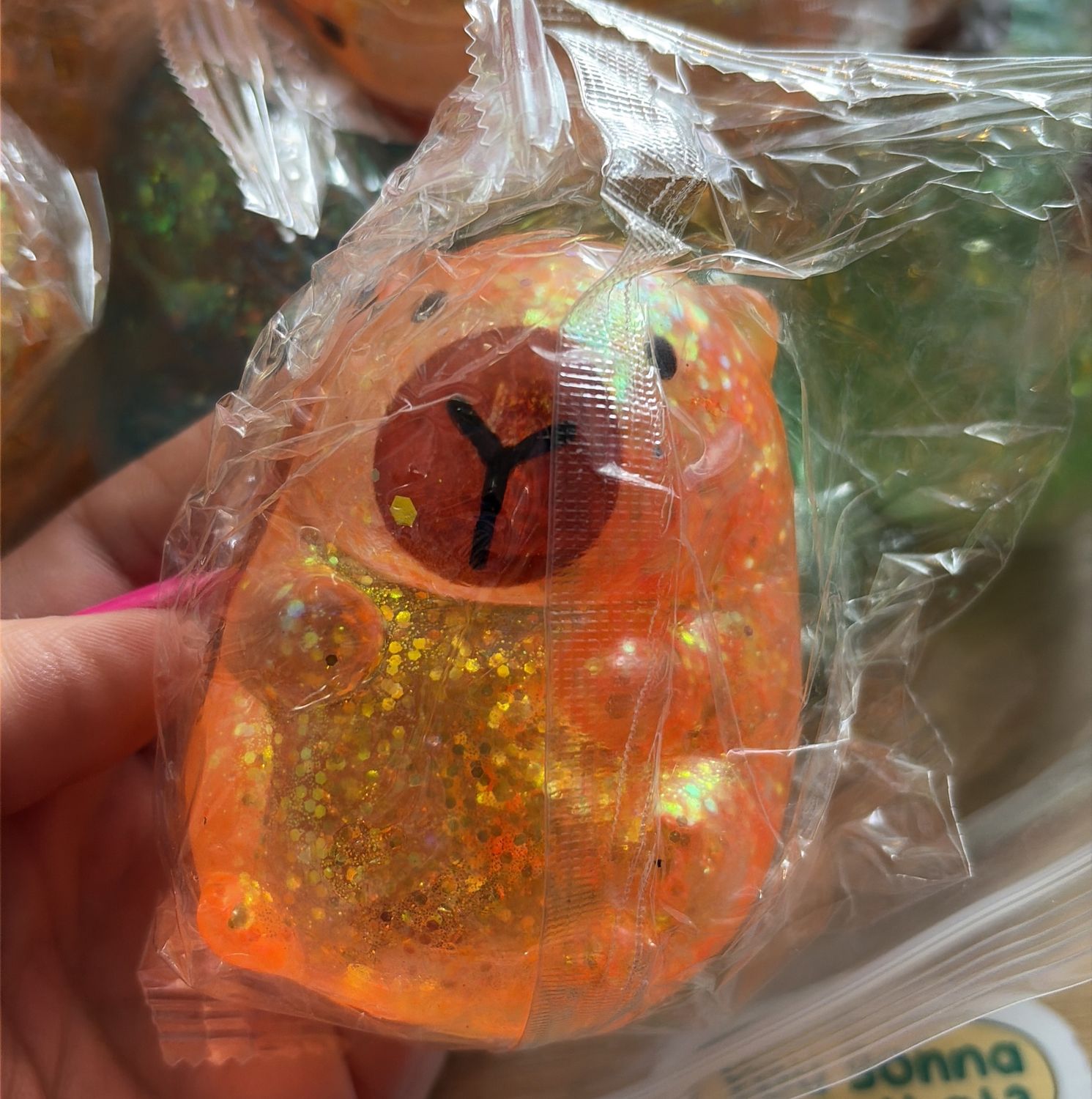 Capybara squishy multicolor 