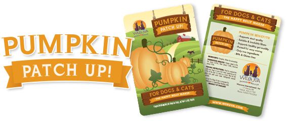 Weruva - Pumpkin Patch Up Supplement Cats/Dogs