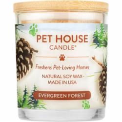 One Fur All - Winter Fragrance Candle