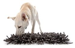 PAW5 - Wooly Snuffle Mat