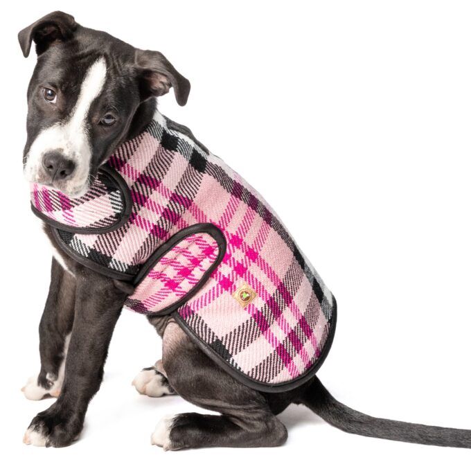 Chilly Dog - Pink Plaid Blanket Coat, Size: XS