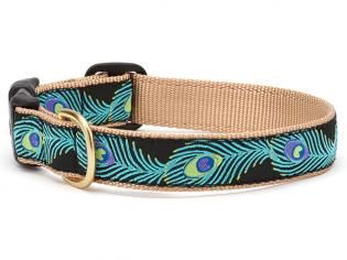 Up Country - Peacock Dog Collar, Size: Small, Width: 1"