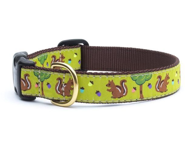 Up Country - Nuts Dog Collar, Size: Small