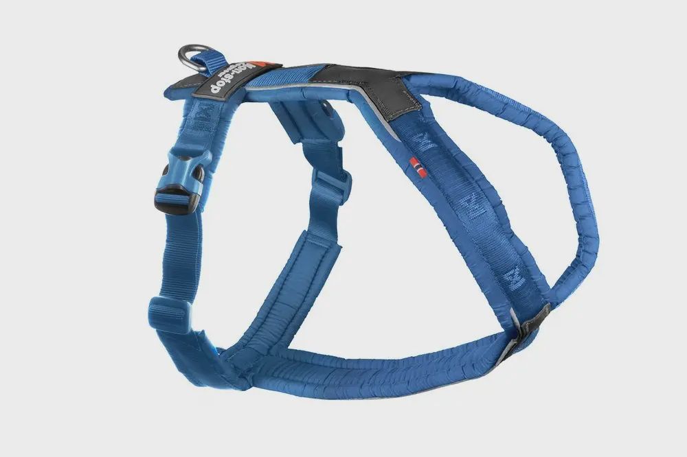 Non-Stop Dogwear - Line 5.0 Dog Harness, Colour: Blue, Size: 1