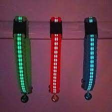 Goli - BellaLuna Glow In The Dark Cat Collar